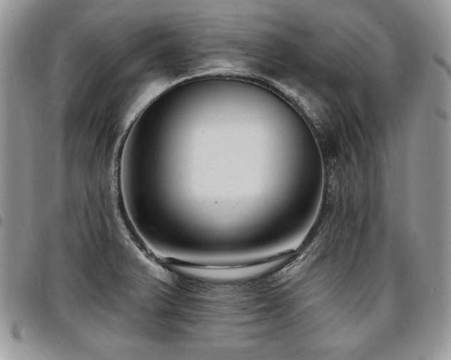 X0000097291375200802151405