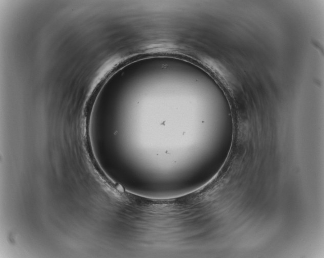 X0000097291376200802151405