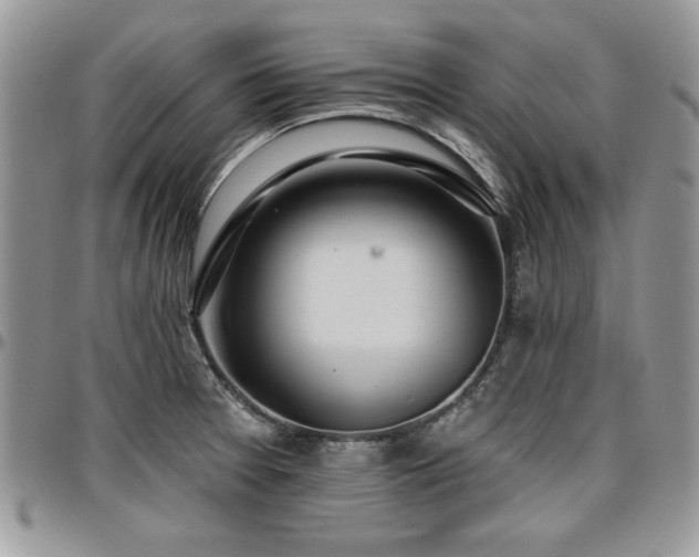 X0000097291377200802151404
