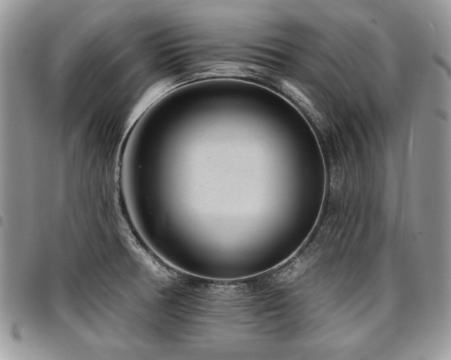 X0000097291378200802151404