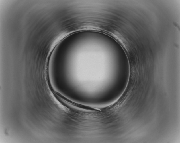 X0000097291379200802151404