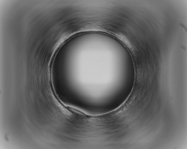 X0000097291380200802151404