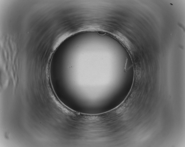X0000097291382200802151404