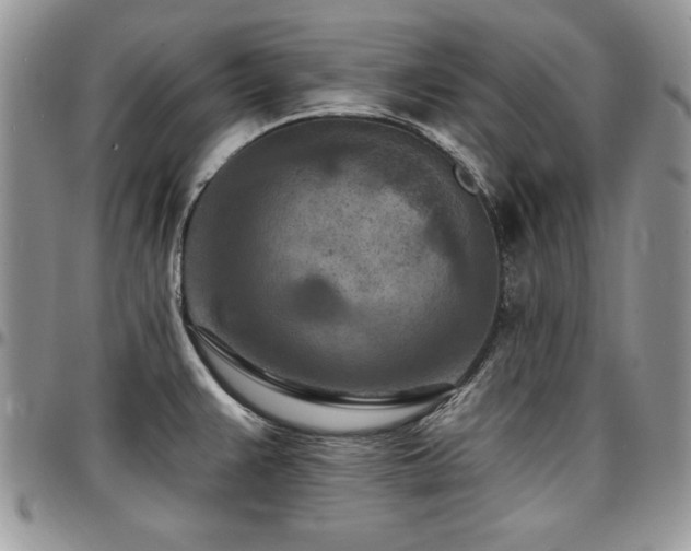 X0000097291383200802151404