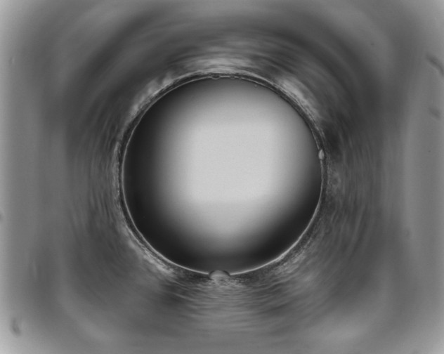 X0000097291384200802151404