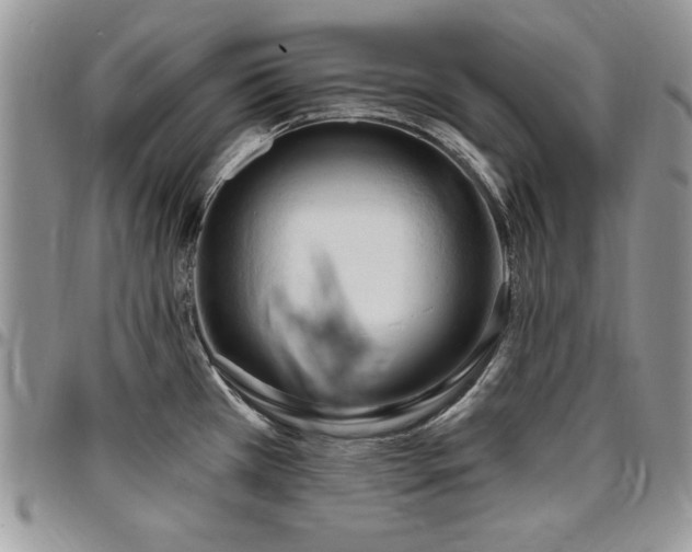 X0000097291385200802151404