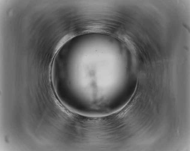 X0000097291386200802151404