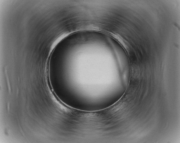 X0000097291387200802151404