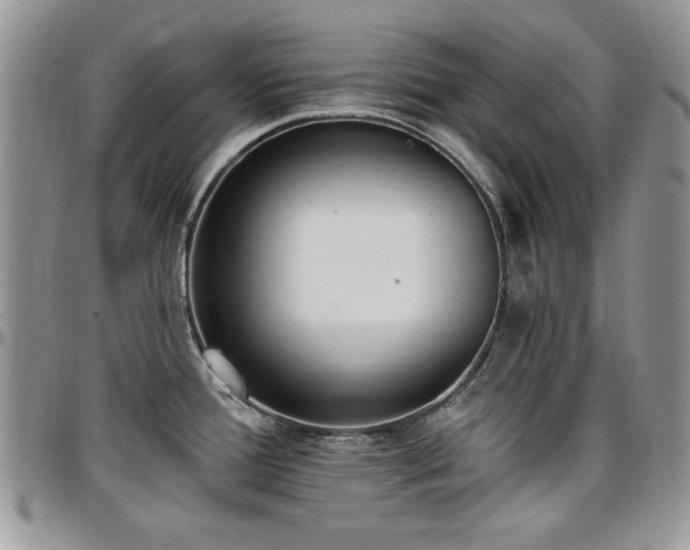 X0000097291388200802151404
