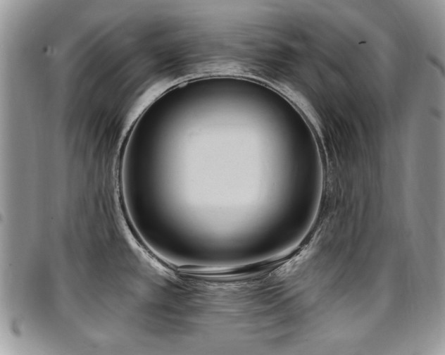 X0000097291389200802151404