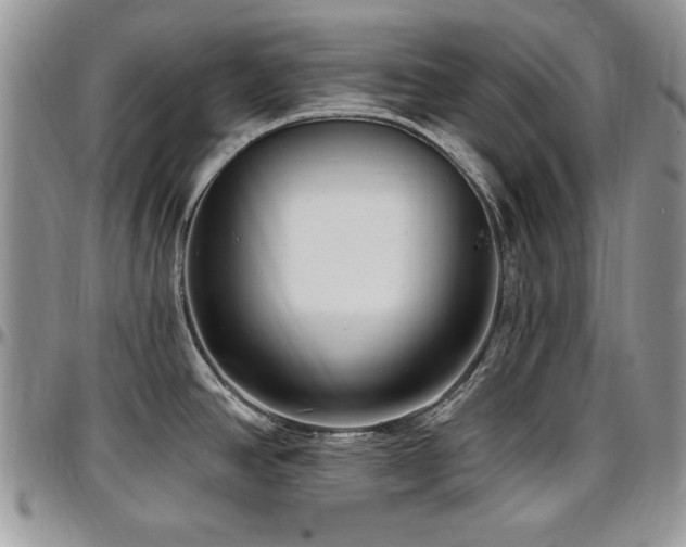 X0000097291390200802151404
