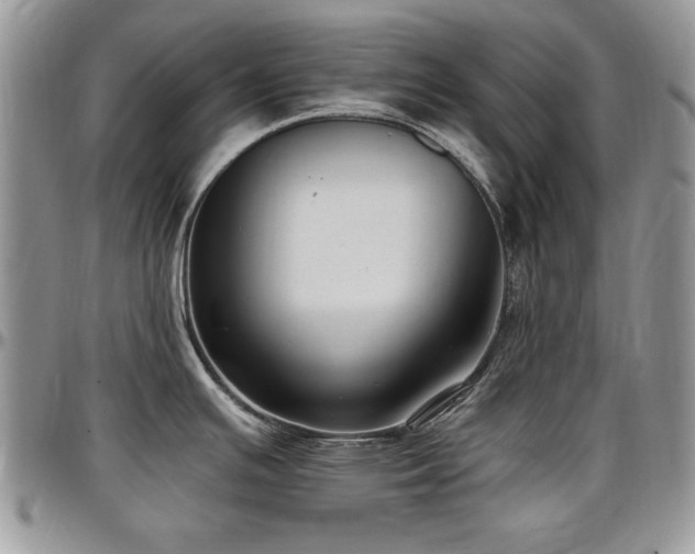 X0000097291391200802151404