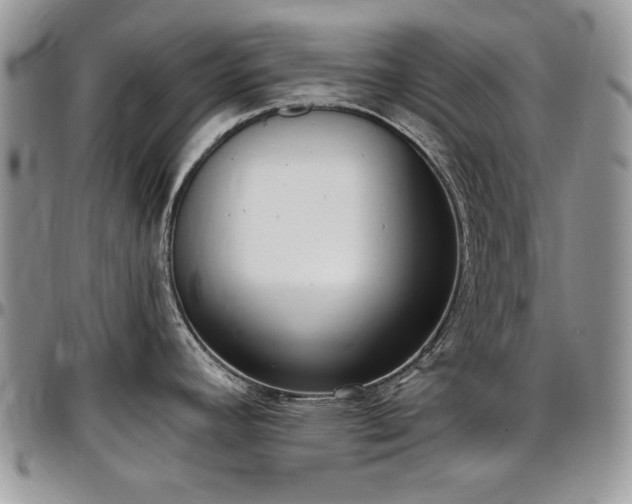 X0000097291392200802151404