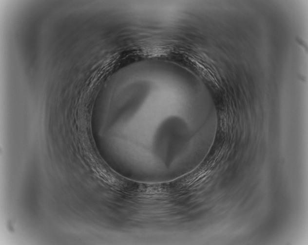 X0000097291393200802151404