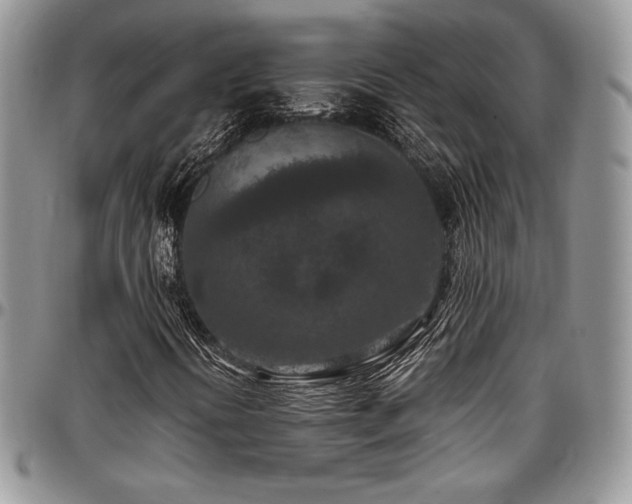 X0000097291394200802151404