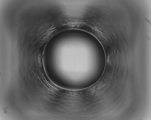 X0000097291396200802151404