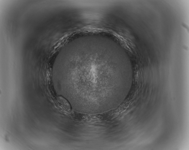 X0000097291397200802151404