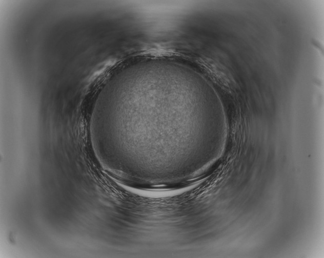 X0000097291398200802151404