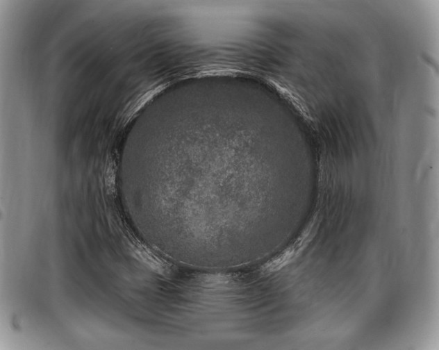 X0000097291401200802151404