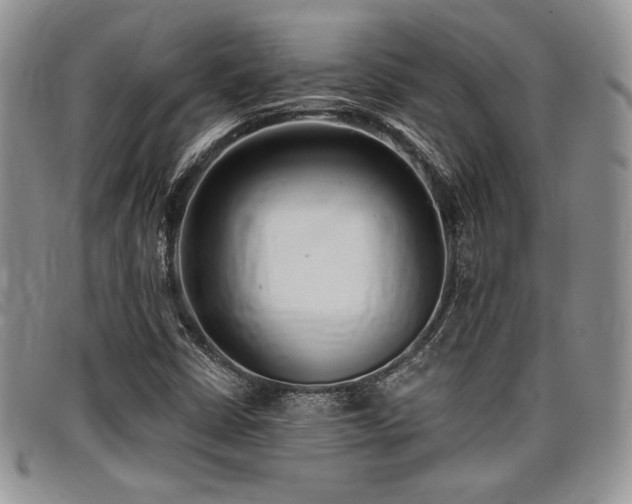 X0000097291402200802151404