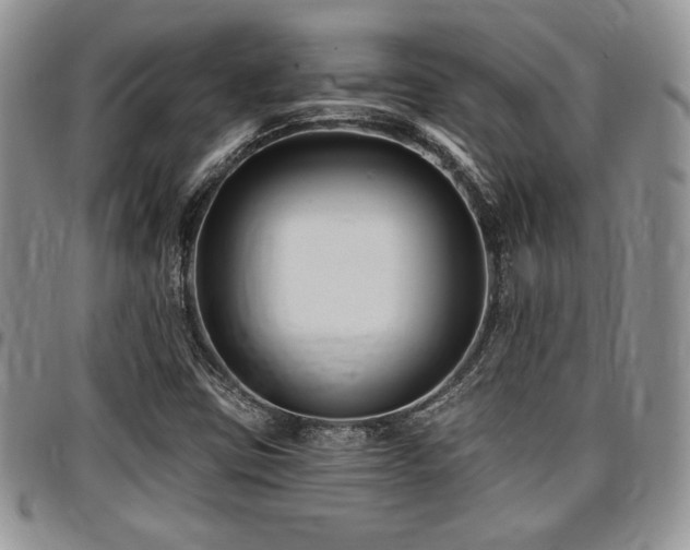 X0000097291403200802151404