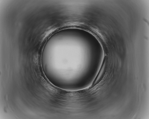 X0000097291404200802151404
