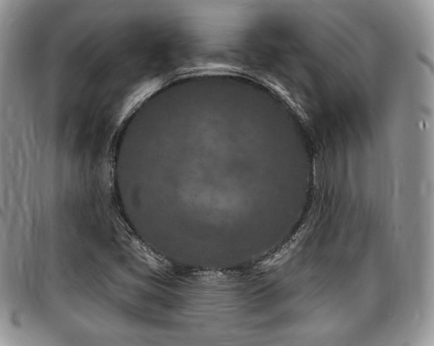 X0000097291405200802151404