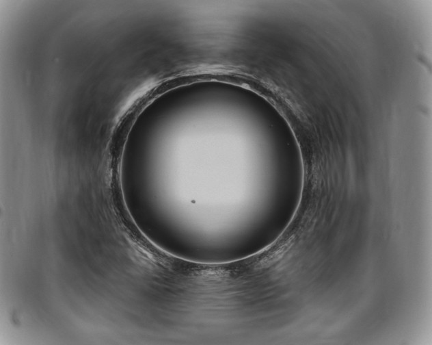 X0000097291406200802151404
