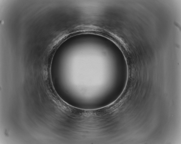 X0000097291407200802151404