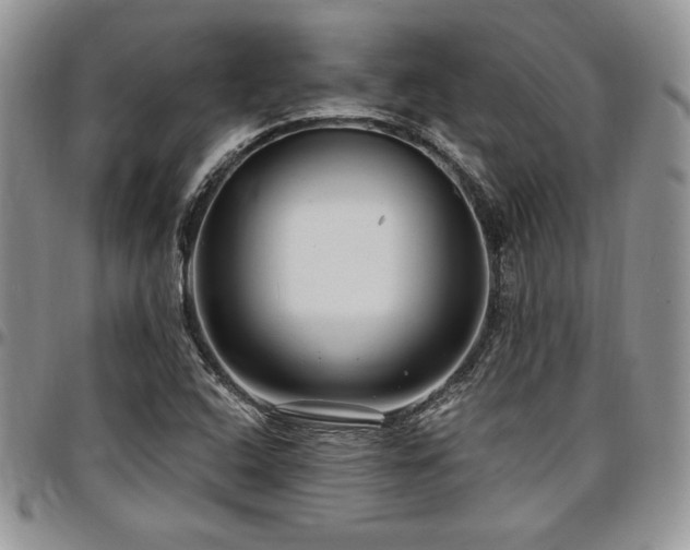 X0000097291408200802151404