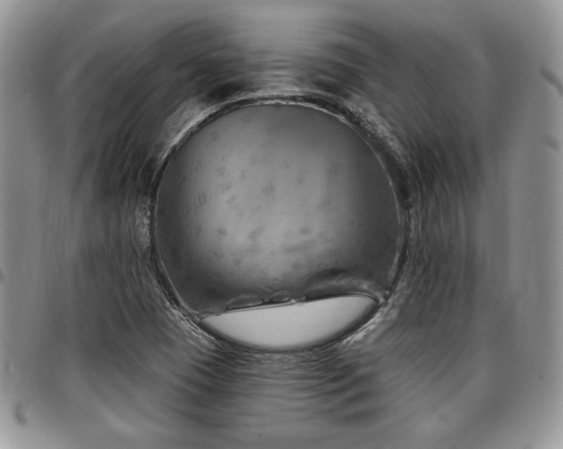 X0000097291409200802151404