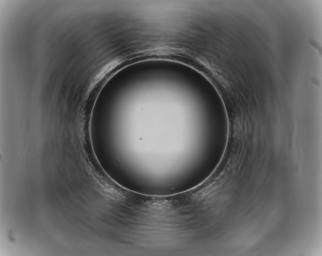 X0000097291410200802151404