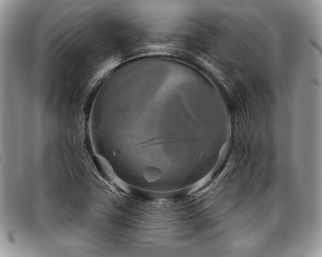 X0000097291411200802151404