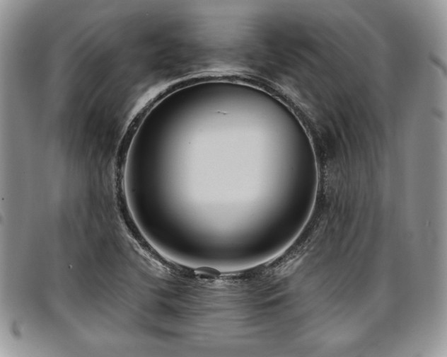 X0000097291412200802151404