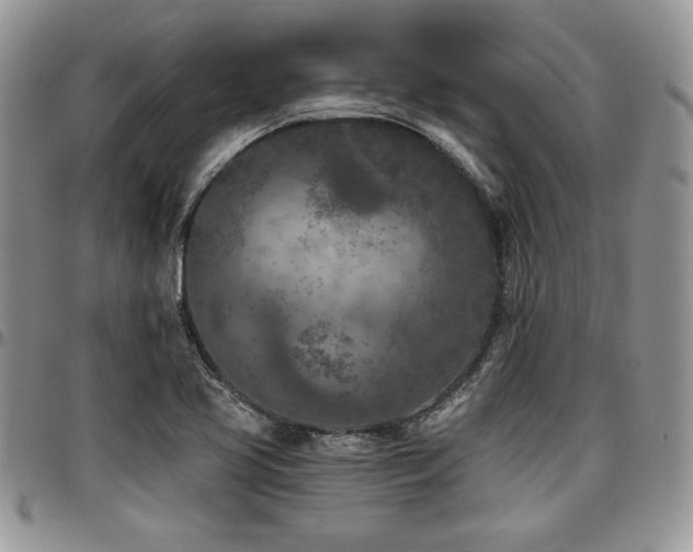 X0000097291413200802151404