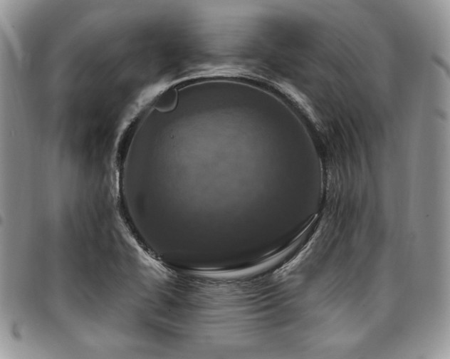 X0000097291414200802151404
