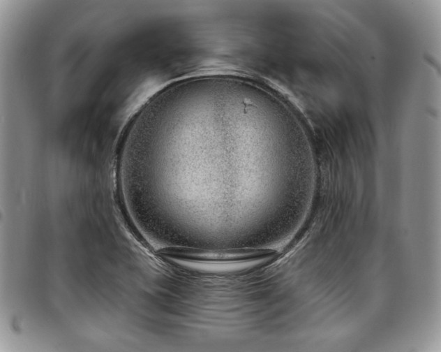 X0000097291415200802151404