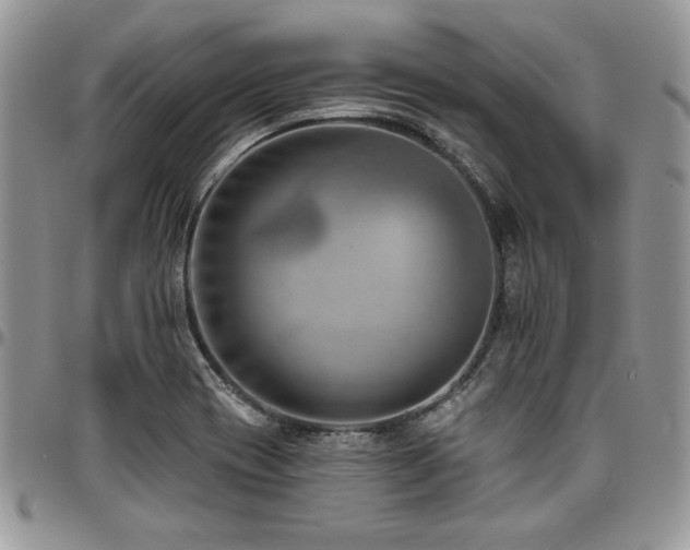 X0000097291417200802151404