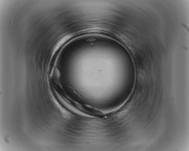 X0000097291418200802151404