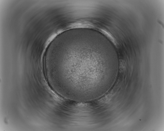 X0000097291419200802151404