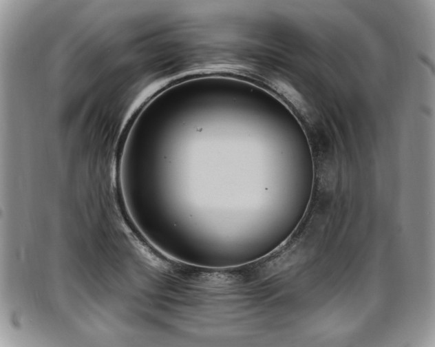 X0000097291420200802151404