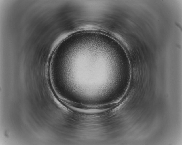 X0000097291421200802151404