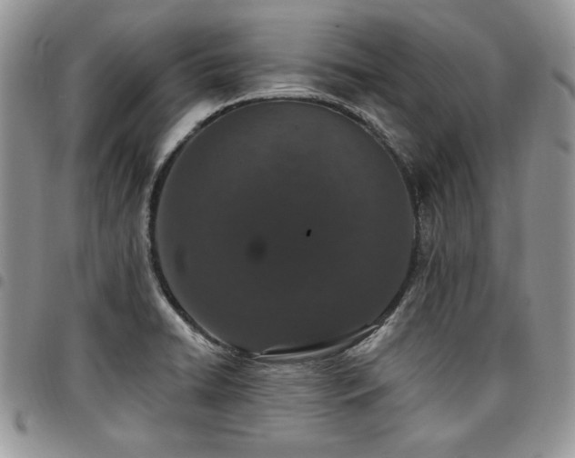 X0000097291422200802151404