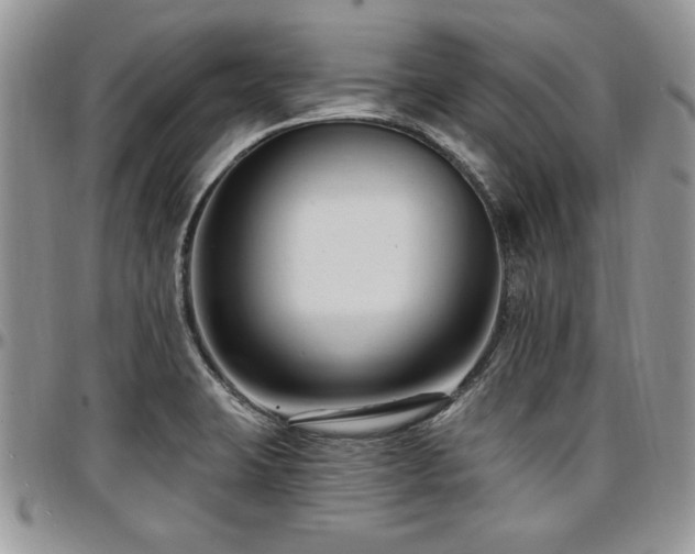 X0000097291423200802151404