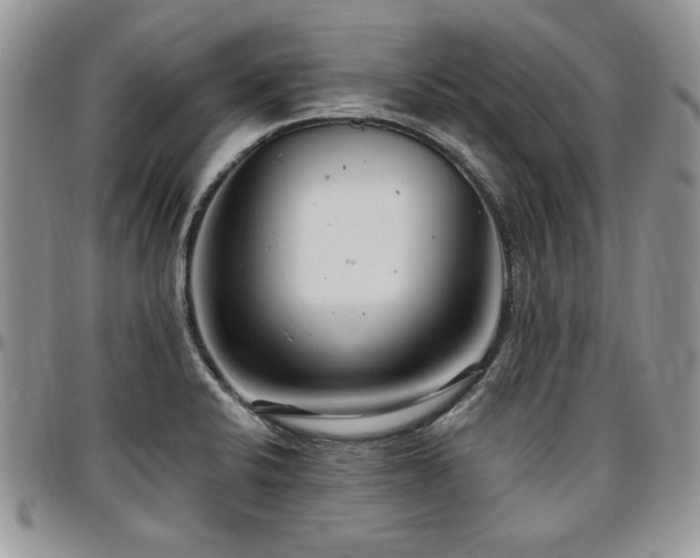 X0000097291424200802151404