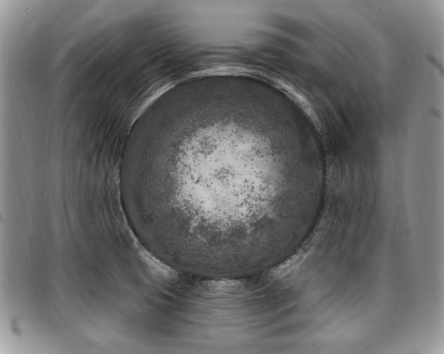 X0000097291425200802151404