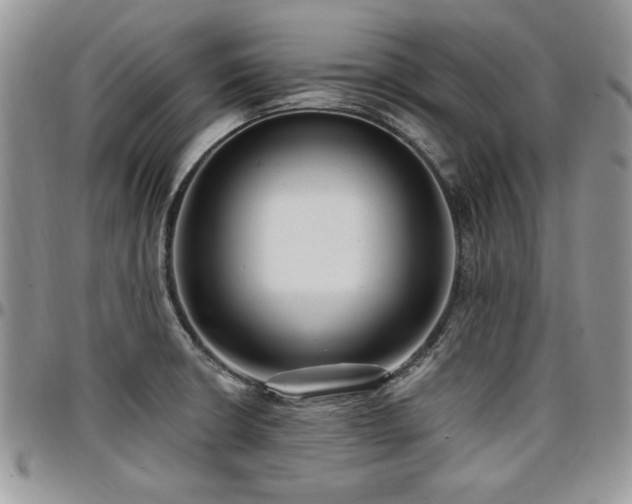 X0000097291426200802151404