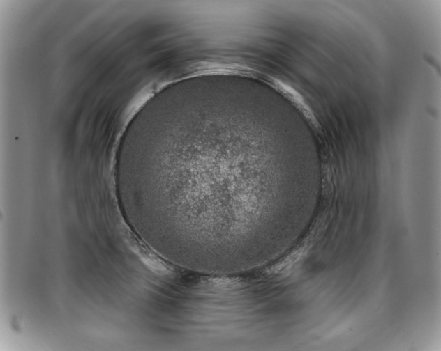 X0000097291427200802151404
