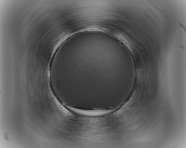 X0000097291428200802151404