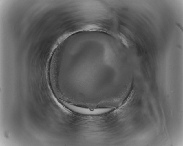 X0000097291429200802151404